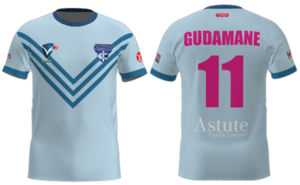Juniors Girls Blue Short Sleeve Training Tee